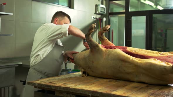 Butcher Cutting Pigs Head at Slaughterhouse