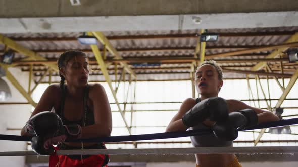 Two mixed race women wearing boxing gloves