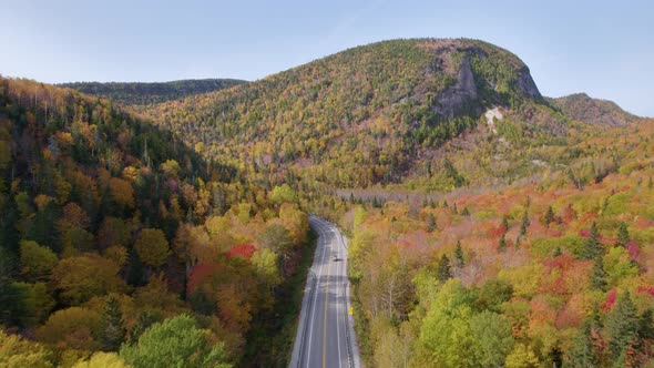 Forillon National Park, Gaspe, Quebec, Canada. Drone. 4K. Road leading through beautiful trees