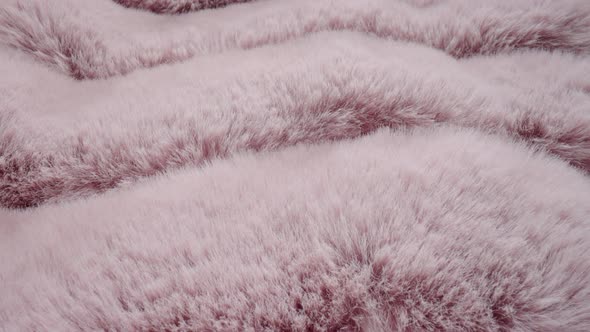Texture of Soft Fluffy Pink Fur Fabric