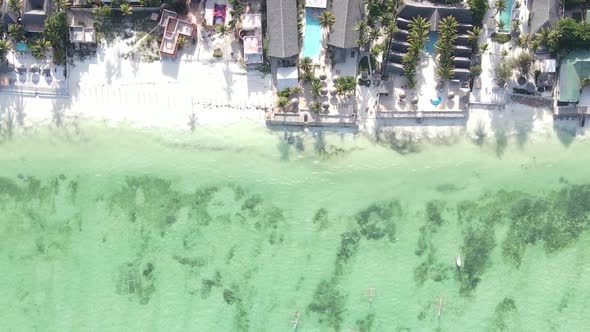 Zanzibar Tanzania  Vertical Video of the Ocean Near the Coast Slow Motion