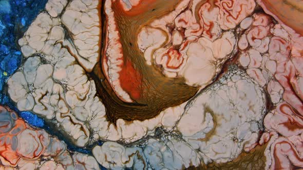 Psychedelic Colour Paint  Spreading Swirling 65 alt