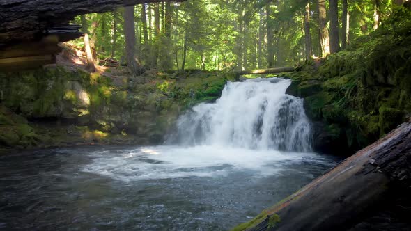 Aerial shot of the beautiful White Horse Falls in Oregon, USA.