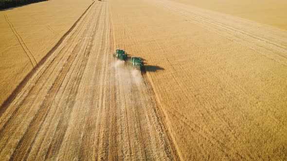 Aerial View on the Harvesters Working on the Large Wheat Field. Harvesting Agricultural Golden Ripe