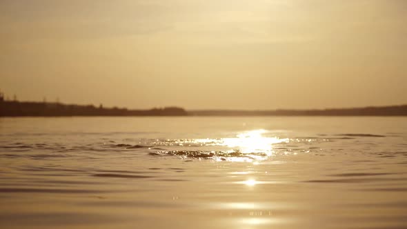 Children dive into water at beautiful sunset. Two boys diving underwater at the same time