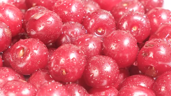 Many Ripe Red Cherries are Spinning in a Circle