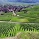 Green vineyards and winding road, town seen at distance, aerial shot of Alsace - VideoHive Item for Sale