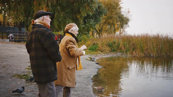 Happy Retired Pair are Smiling Standing on Bank of a River and Feeding Ducks Floating in It Autumn