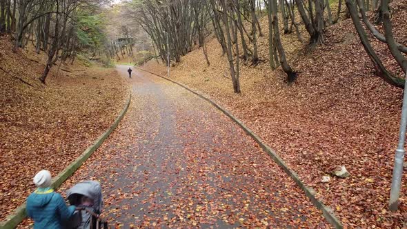 Autumn park in November 5