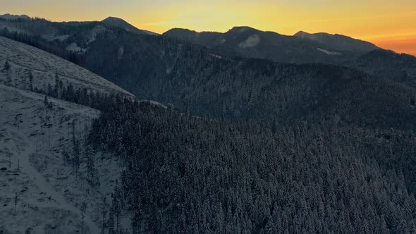 Magic sunset over snowy coniferous forest. Aerial panoramic view