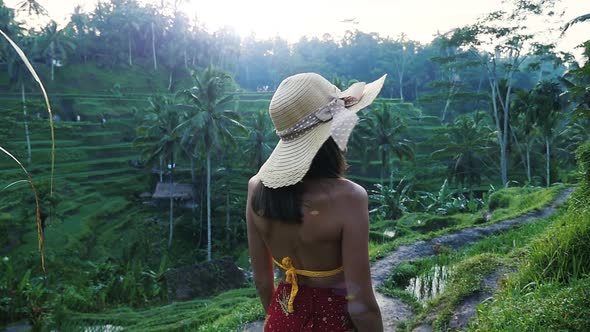 Beautiful girl spending time in the rice fields of Bali