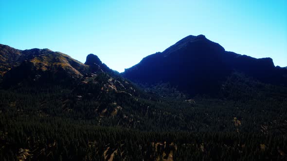 Panorama of Cone Forest at Mountains