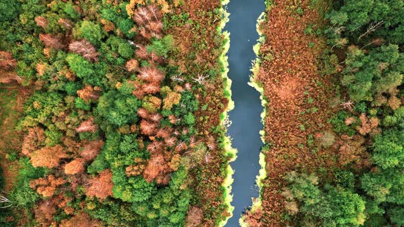 Flying above blue river and backwaters in autumn, aerial view