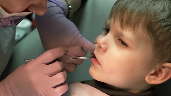 Female Dentist examining boy's teeth in clinic. A small patient in the dental chair smiles.