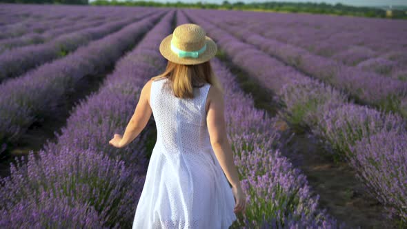 Slow Motion  Lady Walks in a Lavender Field at Sunset in Summer in a White Dress and a Hat