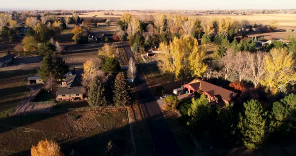 Flight over a rural road showing beautiful fall trees during sunset near Fort Collins Colorado