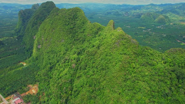 Drone fly over mountains, palm trees and coconut groves