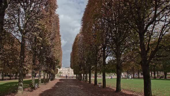Timelapse of visiting Luxembourg Gardens Tree lined promenade and Palace, Paris