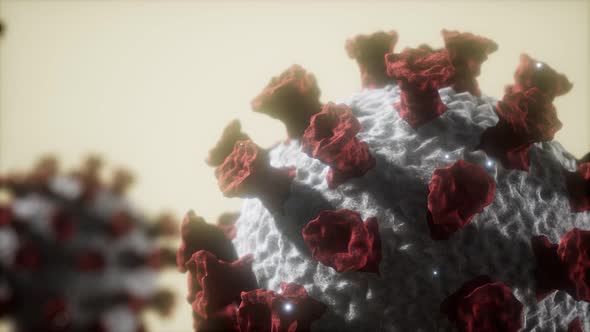 Corona Virus Covid 19 Macro Model alt