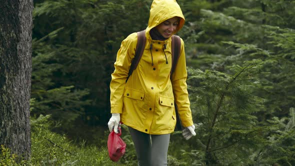 Happy Woman in Yellow Raincoat Walks Holding Plastic Bag with Mushrooms Boletus in Wet Wood After