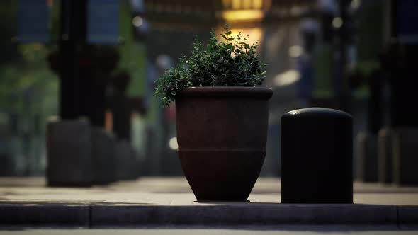 Lockdown Coronavirus Covid19 Empty Streets alt