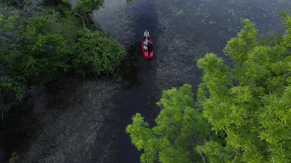 Boat Ride In The Floodplain Forest