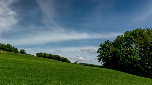 Rural landscape