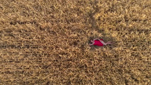 Aerial View of Woman Lying in the Field of Wheat