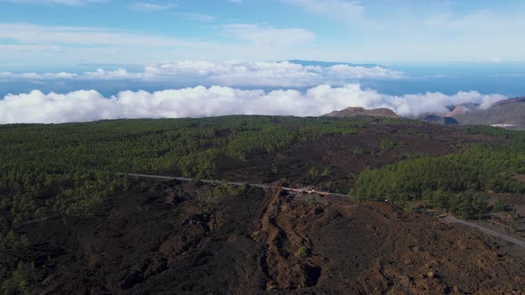 Incredible Aerial Views of Lava Forests in Teide Volcano National Park