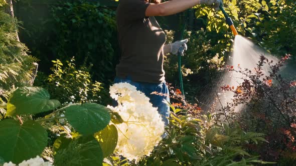 Gardener Takes Care of the Garden