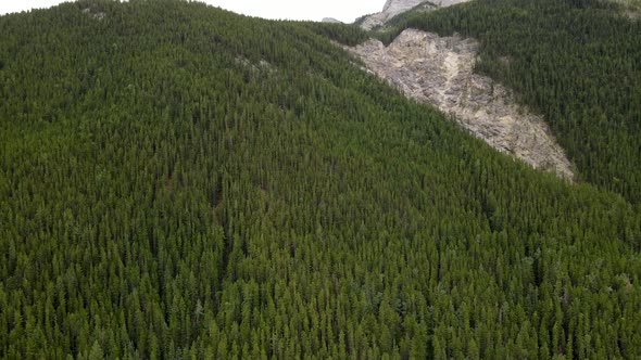 Kananaskis Mountain range in the canadian Rockies. Drone aerial clip of the incredible woods of Cana