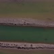 Bird's Eye View of Wild Pink Flamingos in Wetland Camargue France - VideoHive Item for Sale