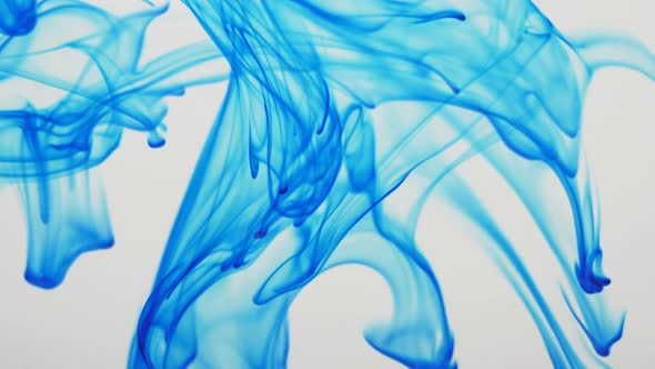 Spreading of Blue Paint in a Liquid Space