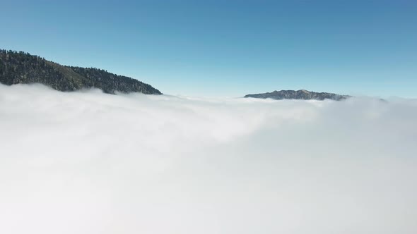 Bird's eye aerial view of the mountain peaks with forest protruding from cloud in California, USA