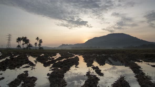 Sunrise at muddy rice filed.