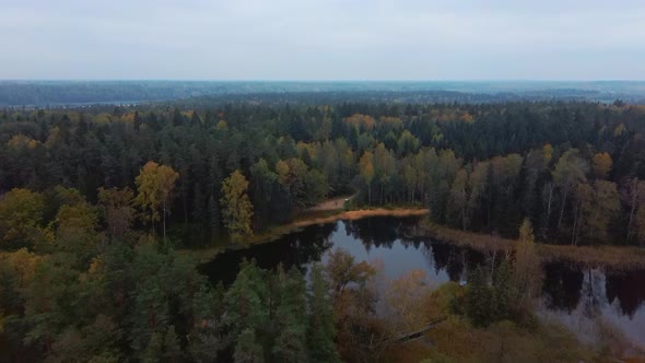 Aerial View of Green Pine and Spruce Conifer Treetops Forest and Kalnmuiza lake in Latvia. Colorful