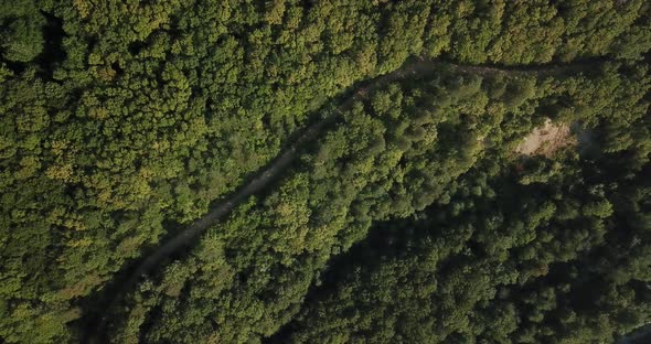 Aerial Top View of Caucasian Mountain Forest, Texture of Forest View From Above.