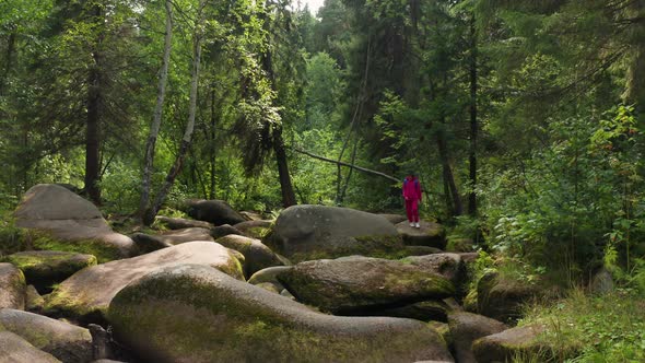 A Tourist Walks Through the Forest
