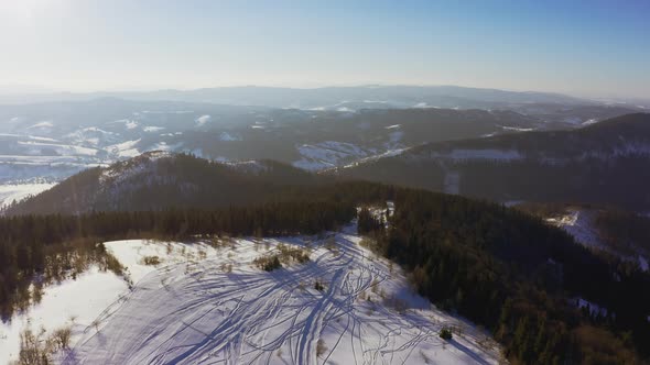 Dense Forests Cover High Mountains and Their Slopes in the Carpathians and a Very Bright Sun That