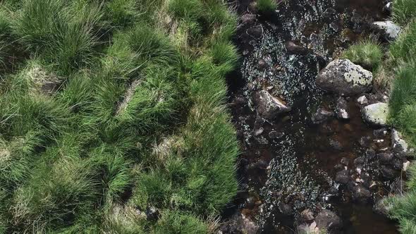 Birdseye close up aerial tracking forward of a rocky river surround by grassy moor foliage, sun in t