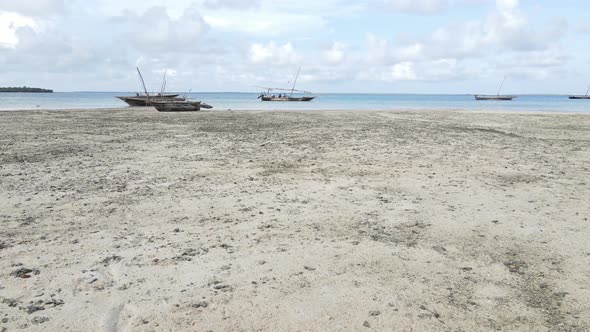 Low Tide in the Ocean Near the Coast of Zanzibar Island Tanzania