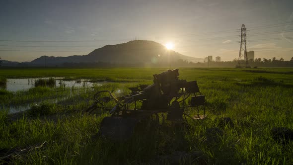 Timelapse view sunrise morning at rice field.