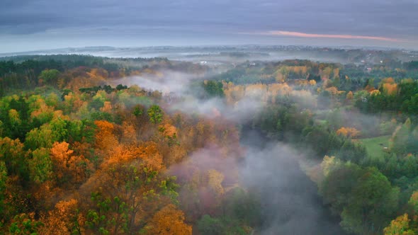 Aerial view of foggy river and colorful forest in autumn