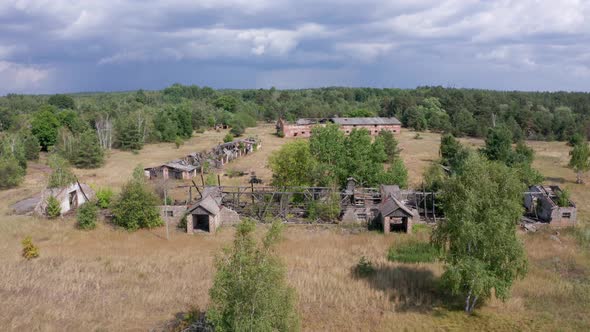 Drone Flight Over Ruins of Farms in Chernobyl Zone