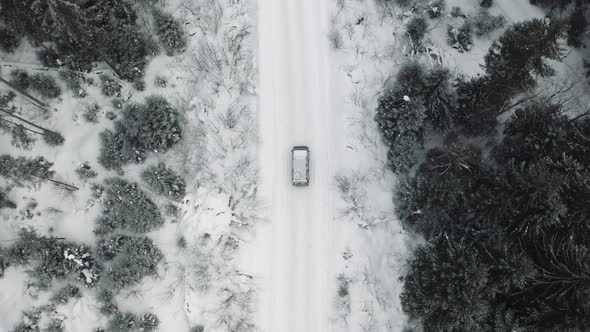 The Car Drives Along the Road in the Winter Forest