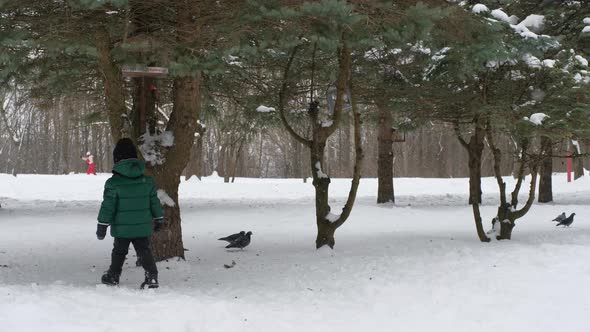 Little Boy Chasing Pigeons in Winter Park