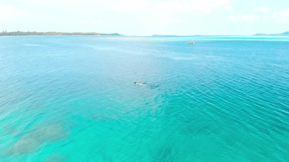 Aerial slow motion: woman snorkeling on coral reef tropical sea from above alt