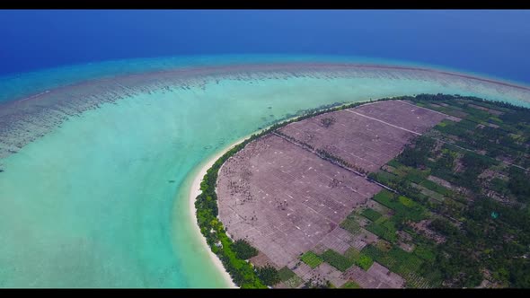 Aerial drone shot scenery of marine coast beach wildlife by blue sea with white sandy background of 