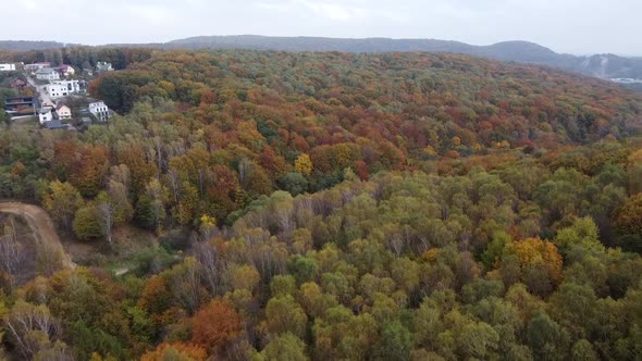 Drone Flying Over the Forest 