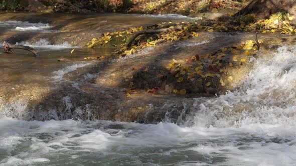 Lunaret Nature reserve, Montpellier, Hérault department, Occitanie, France.